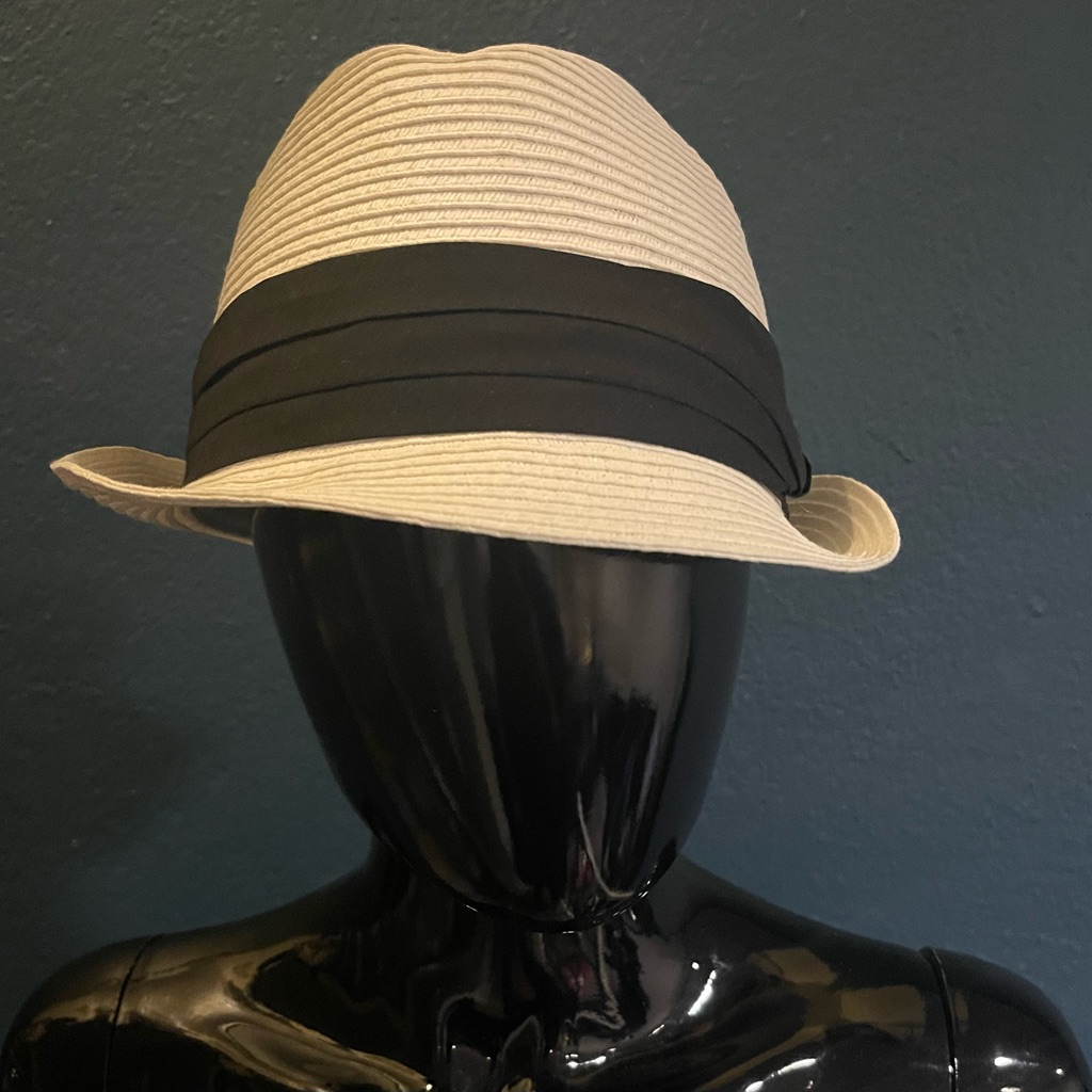 Brand New Never Worn 100 Paper Brand Hat